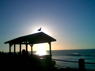 La Jolla Belvedere